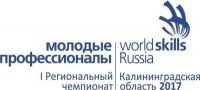 I Открытый региональный чемпионат «Молодые профессионалы» (Worldskills Russia) – 2017