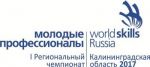 I Открытый региональный чемпионат «Молодые профессионалы» (Worldskills Russia) – 2017