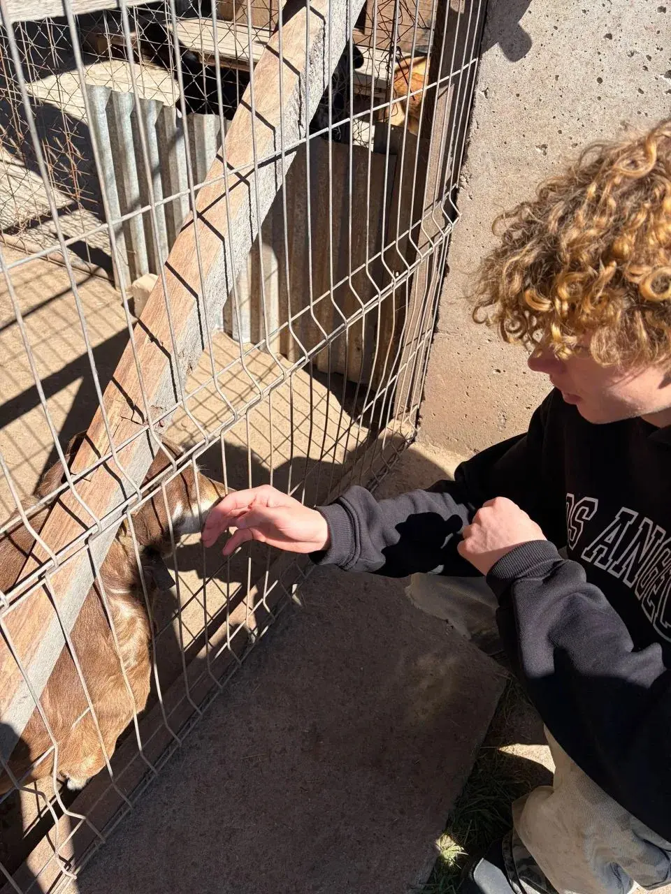 Надёжный друг