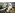 image_1