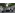 Колледж принял в свою большую и дружную семью новое поколение студентов!